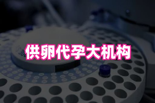 长沙助孕网 3